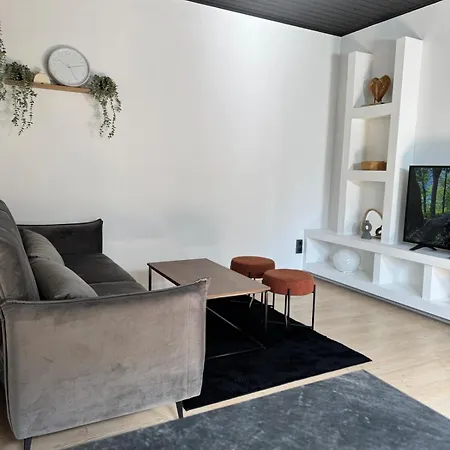Gruene Auszeit Apartment Braunlage
